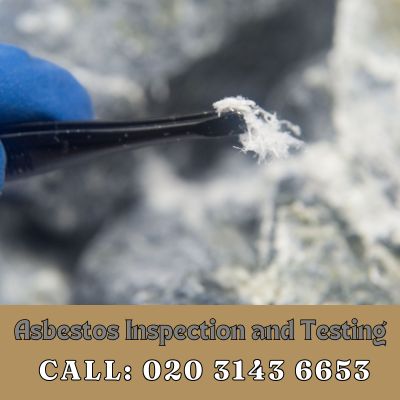 Comprehensive Asbestos Inspection and Testing Services in Old Malden